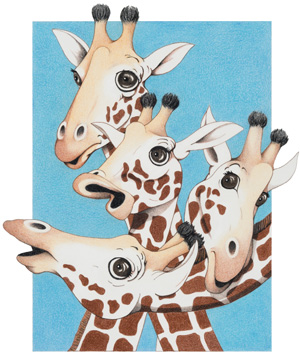 Giraffes